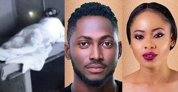 Image result for #BBNaija: Imo State government to host Miracle and Nina