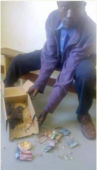 Serious Drama As Man Storms Police Station With Rats That Ate His Money in a Box (Photos) %Post Title